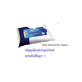 Nu Fresh Anti-Bacterial Wipes